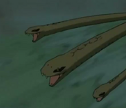Senei jashu2.png