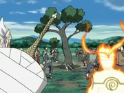 NarutoBeevsZetsu 545.png