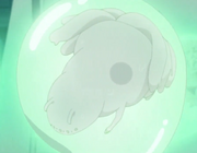 RokubiBaby.png