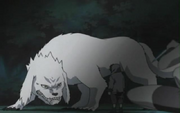 NFolge184.png