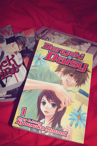 File:English volume 1 photo.jpg
