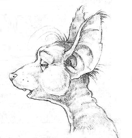 File:Fitz.jpg