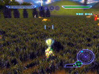 Image 009