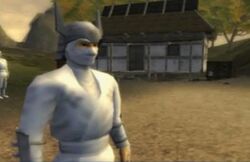Whiteninjaleader