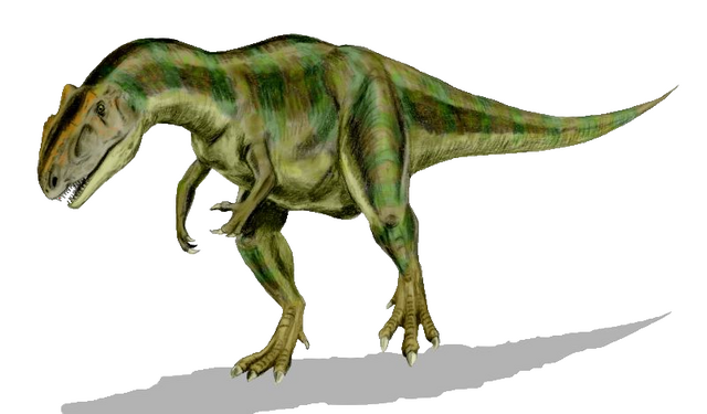 File:Allosaurs.png