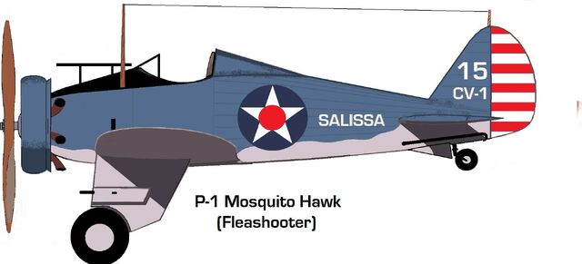File:P-1.jpg