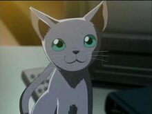 Eri's Cat, Goro