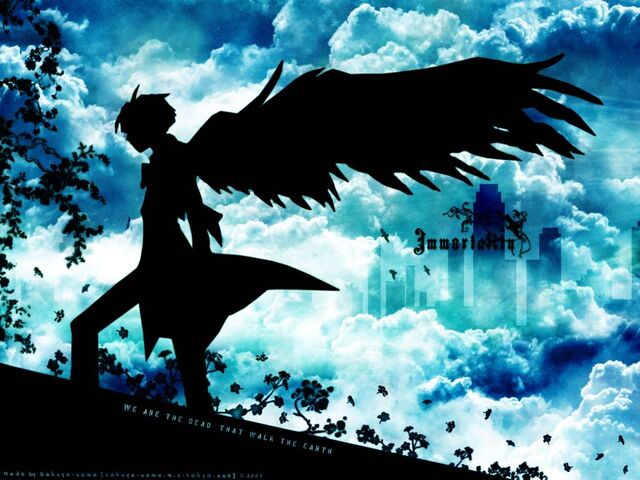 File:LOKIwings.jpg
