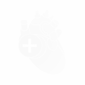Страж.png