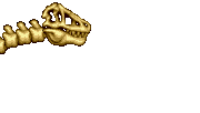 SkullRexA1