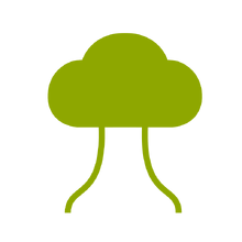 Thicket