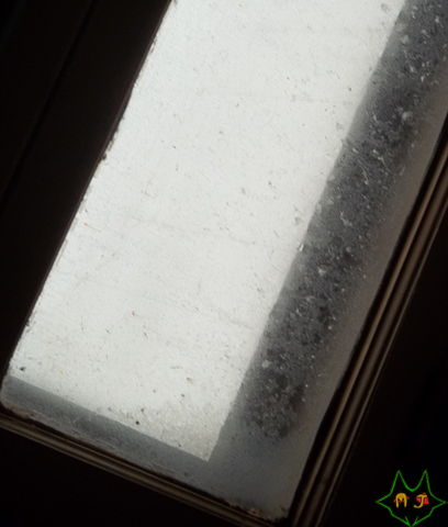 File:Photo201327.png