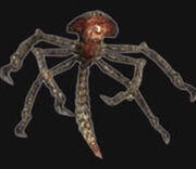 Infestant.jpg