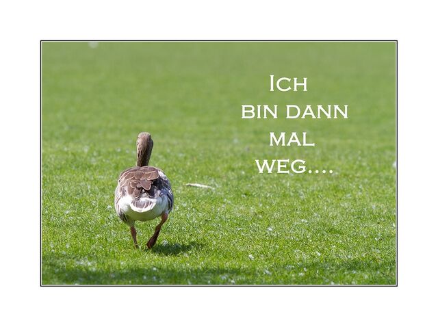 Datei:Ich bin weg.jpg