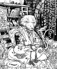 Splinter