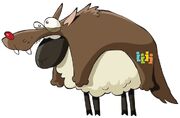 Schaf Sammy