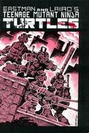 TMNT v1 1 01.jpg