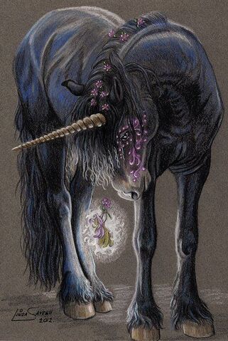 Datei:Dunkles Einhorn.jpg