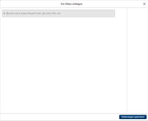 Video-Fenster VE.png