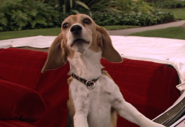 File:Walter.png