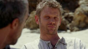 Markpellegrinolost