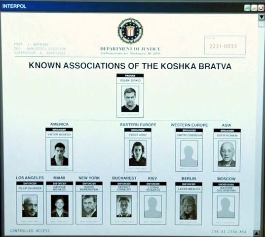 File:Koshka brotherhood.jpg