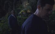 GellarPic4