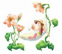 Hammock