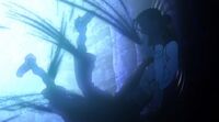 Sherilkamelot2.jpg