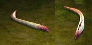 Lamprey3