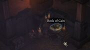 D3BookOfCain