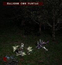 MlgnocnPntas