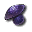 Black Mushroom