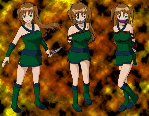 File:NewPlayerBattler.jpg