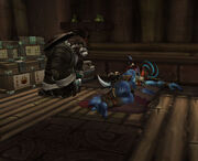 Chen und Vol'jin.jpg