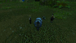 Laleh-adventure-01-029