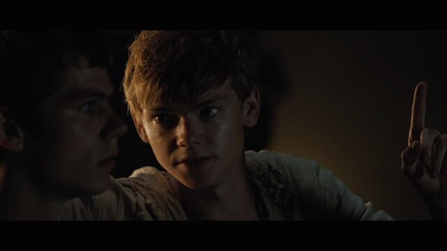 Datei:Newt.jpg