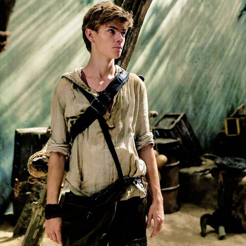 Datei:Newt image.jpg
