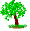 Baum