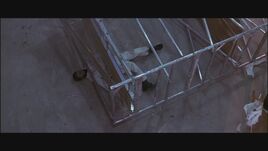 Sheldondeath