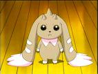 Lopmon 6