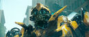 Bumblebee