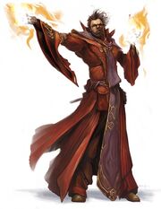463px-Male mage.jpg