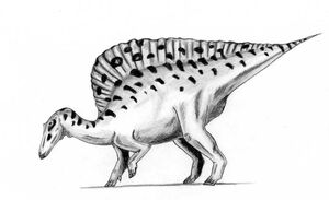 800px-Ouranosaurus