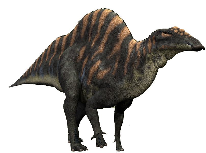 Ouranosaurus Dinosaur Wiki FANDOM powered by Wikia