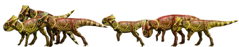 Microherd