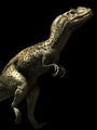 Thumbnail for version as of 14:38, June 24, 2010