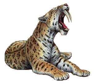 Smilodon3