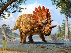 Regaliceratops-peterhewsi