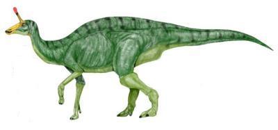Tsintaosaurus